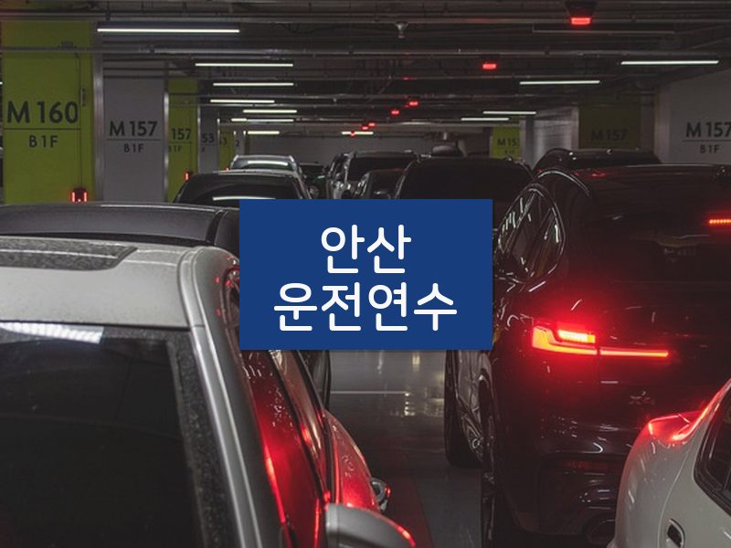 안산운전연수 후기