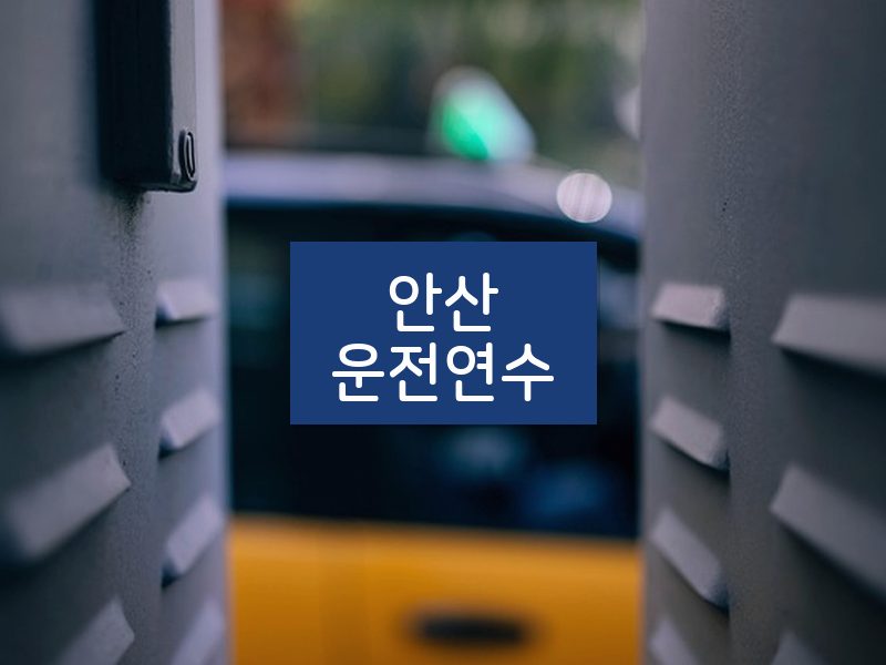 안산운전연수 후기