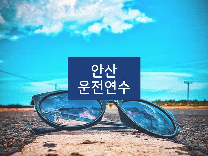 안산운전연수 후기
