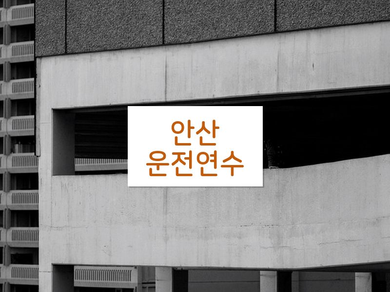 안산운전연수 후기