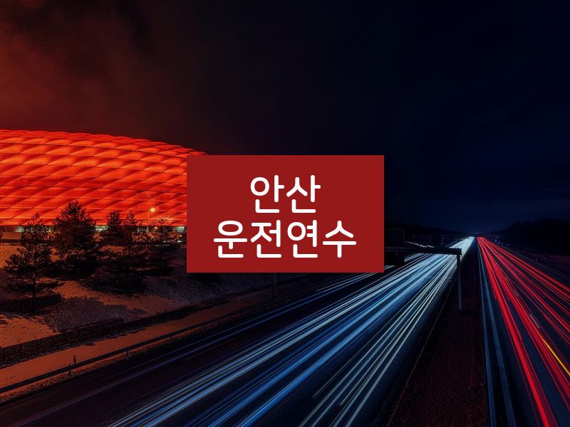 안산운전연수 후기