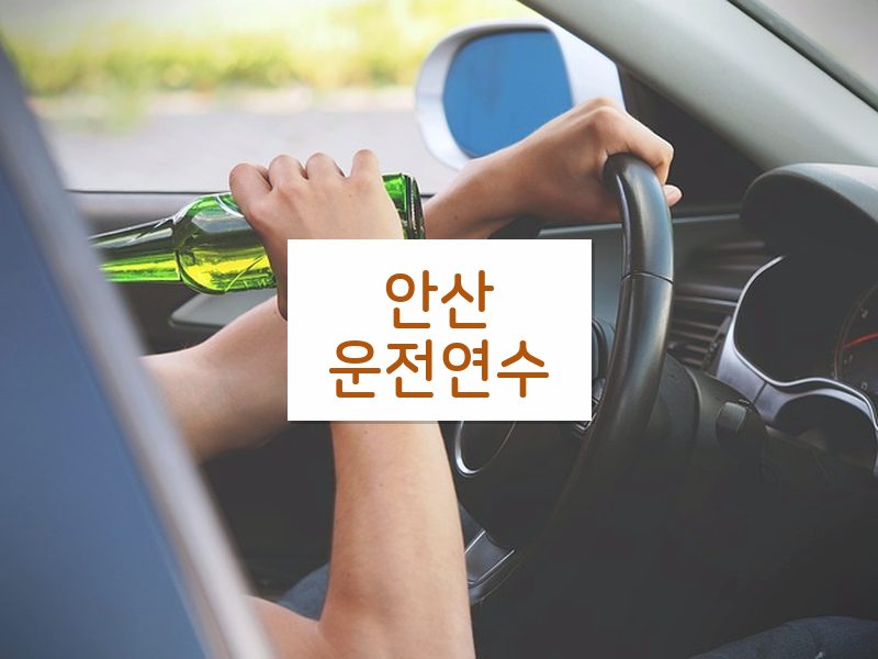 안산운전연수 후기