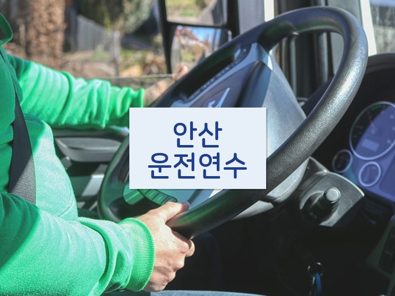 안산운전연수 후기