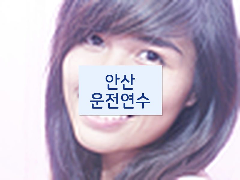 안산운전연수 후기