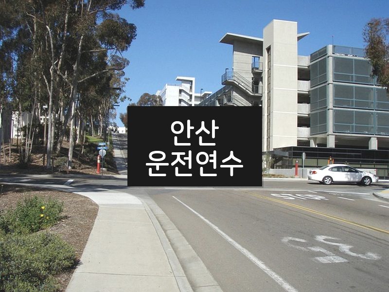 안산운전연수 후기