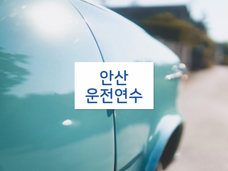 안산운전연수 후기