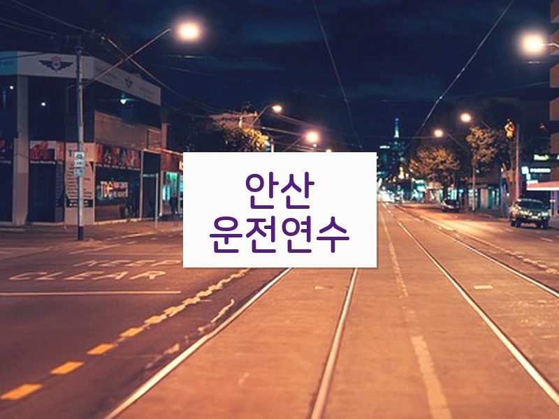 안산운전연수 후기