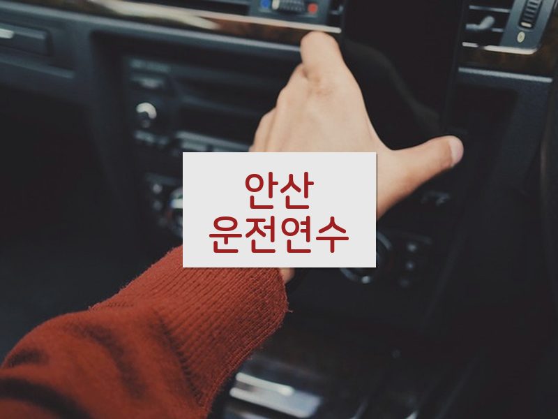 안산운전연수 후기