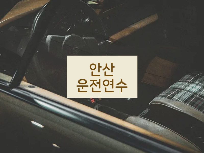 안산운전연수 후기