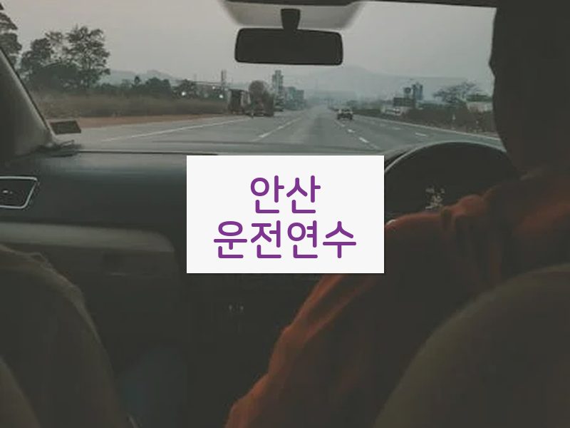 안산운전연수 후기