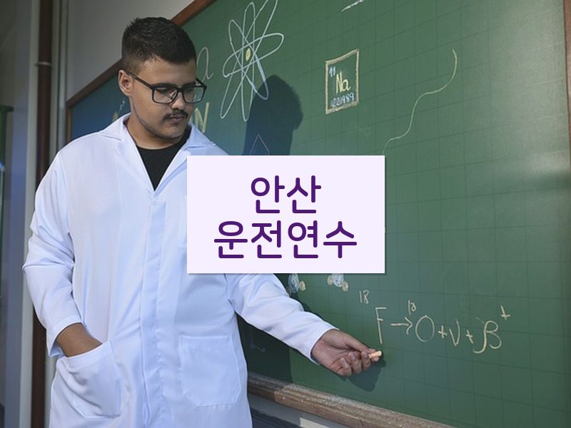안산운전연수 후기