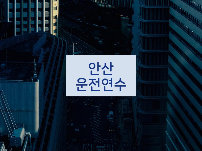 안산운전연수 후기