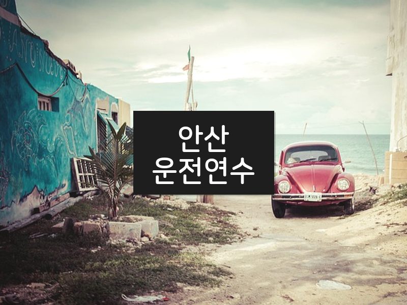 안산운전연수 후기