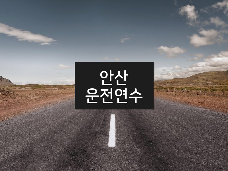 안산운전연수 후기
