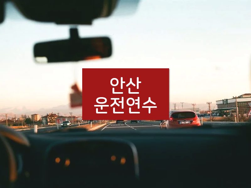 안산운전연수 후기