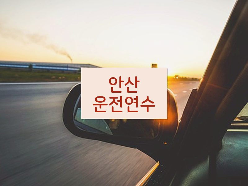 안산운전연수 후기