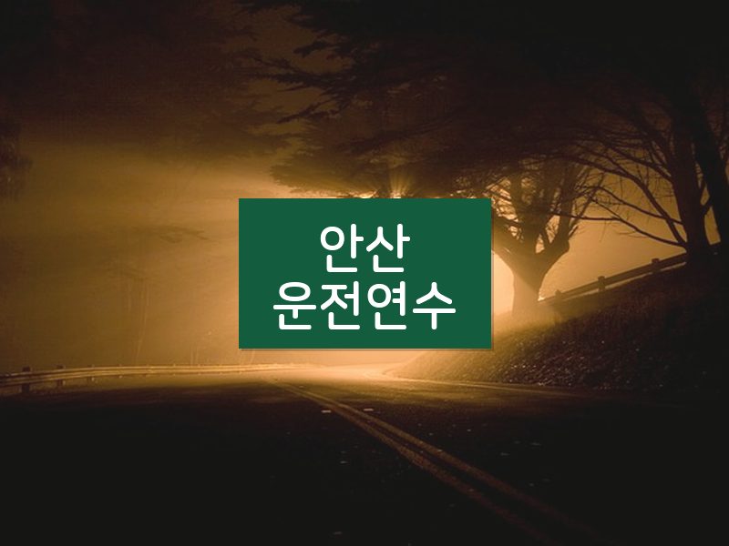안산운전연수 후기