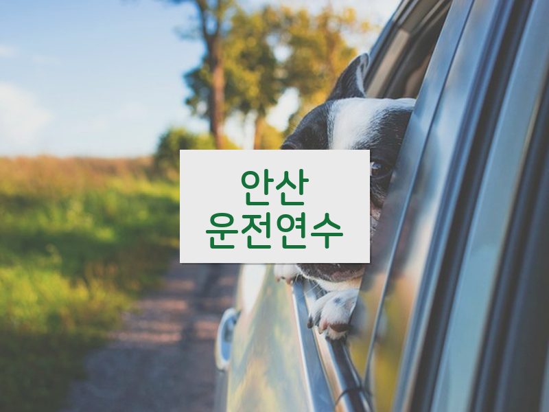 안산운전연수 후기