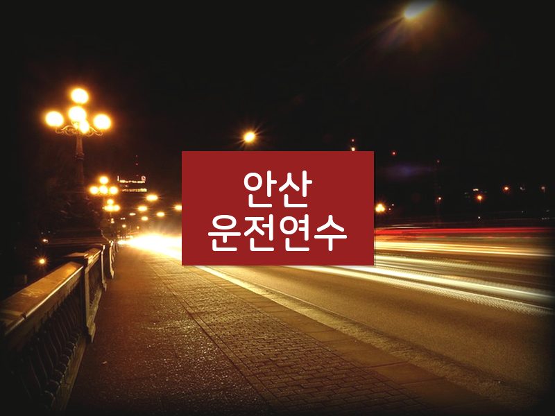 안산운전연수 후기