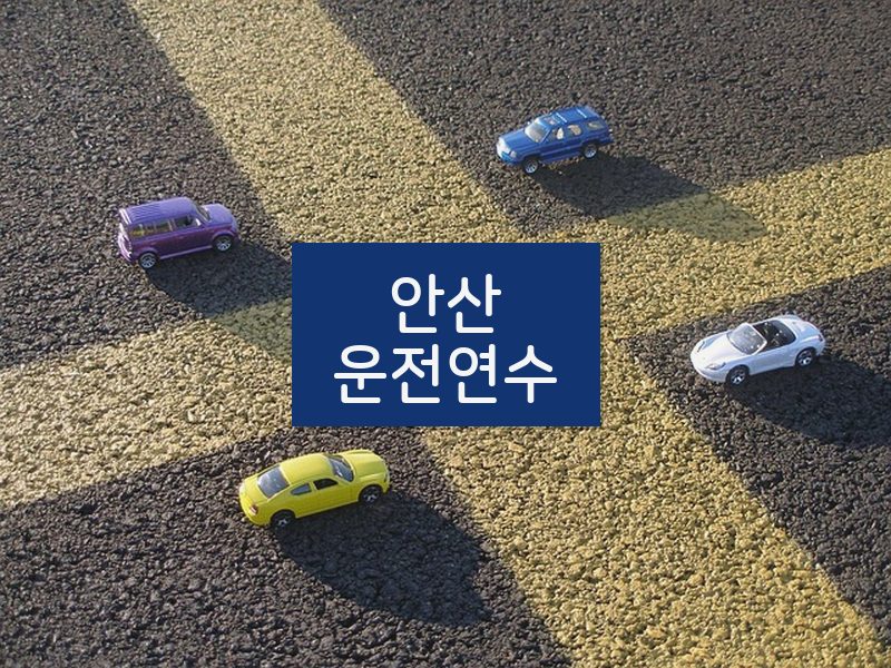 안산운전연수 후기