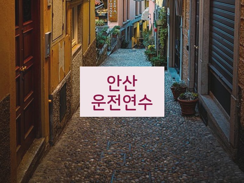 안산운전연수 후기