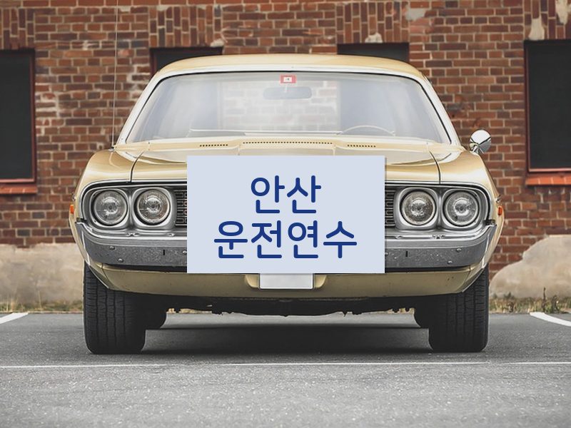 안산운전연수 후기