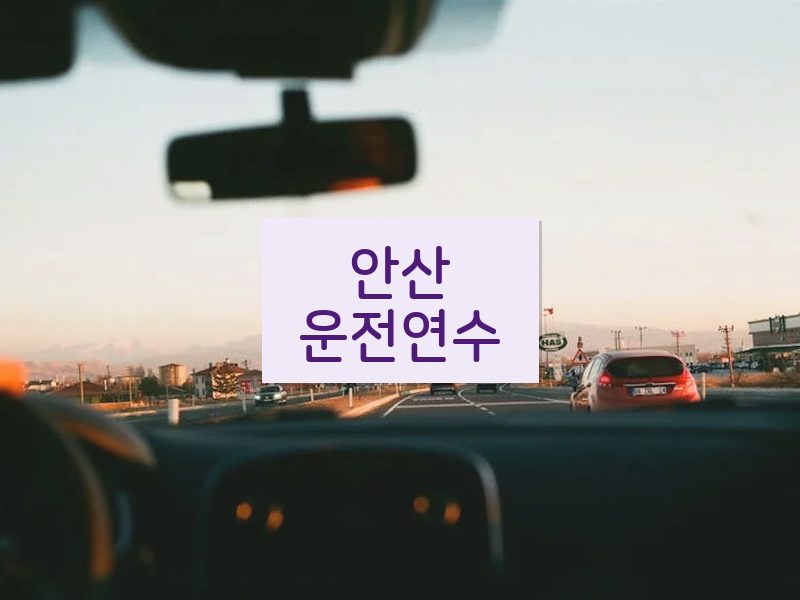 안산운전연수 후기