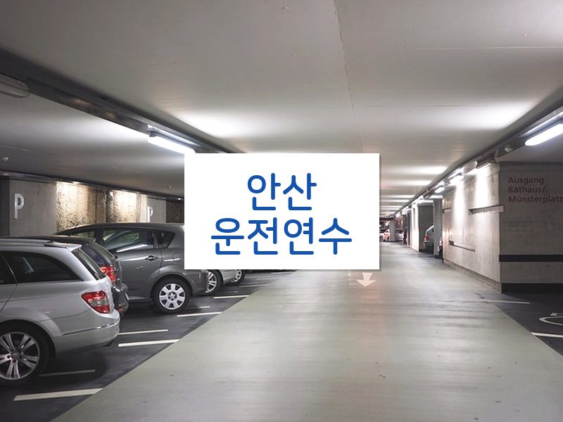 안산운전연수 후기