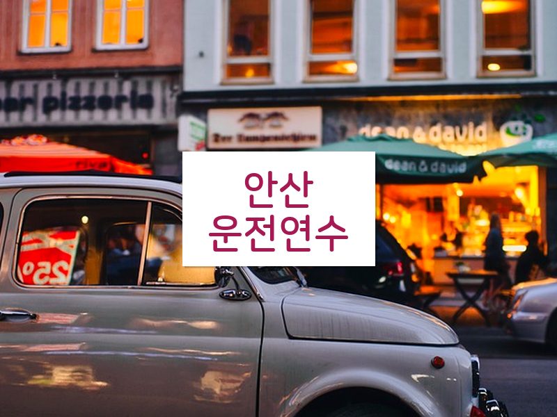 안산운전연수 후기