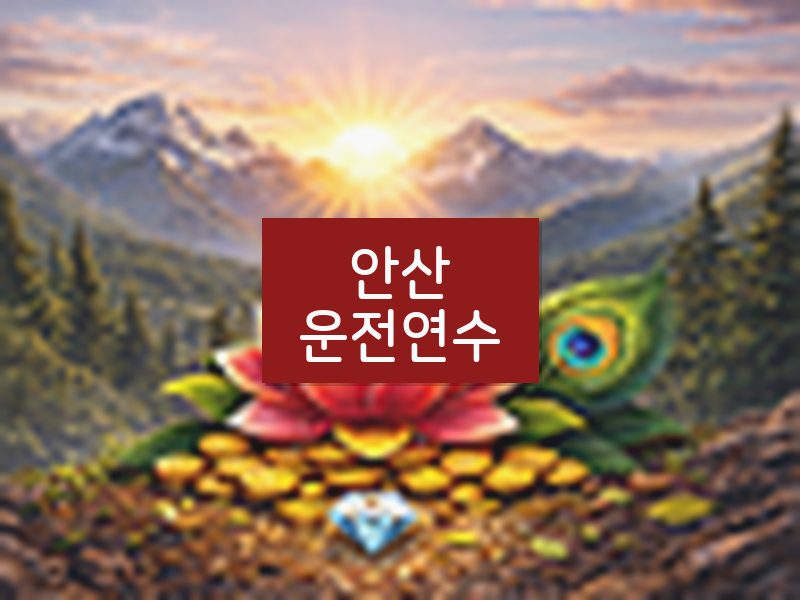 안산운전연수 후기