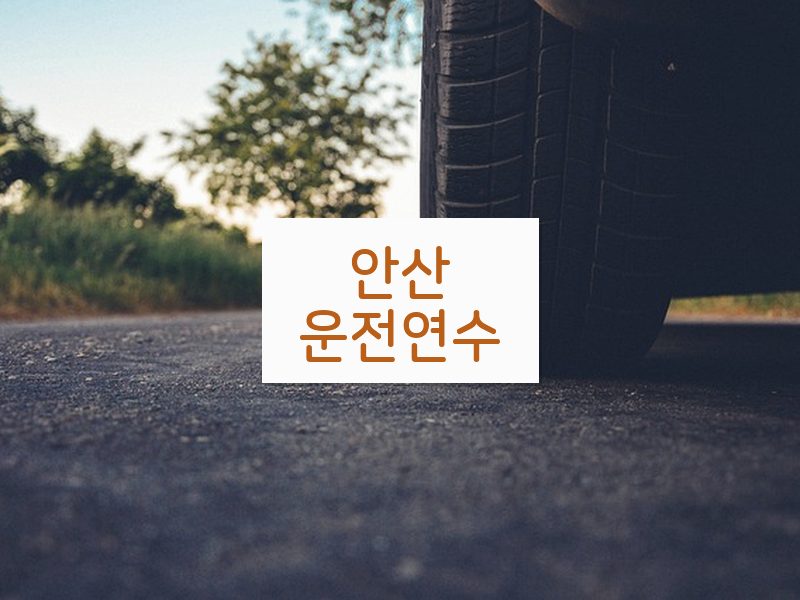 안산운전연수 후기