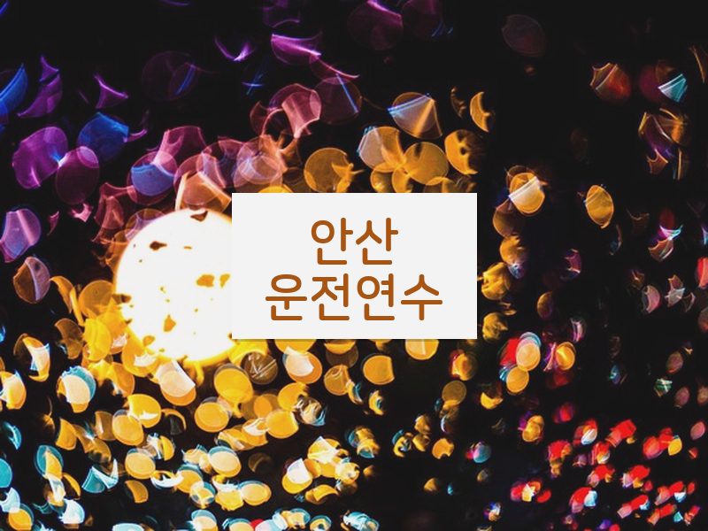 안산운전연수 후기