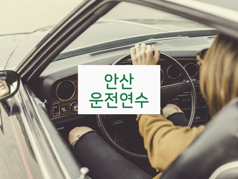 안산운전연수 후기