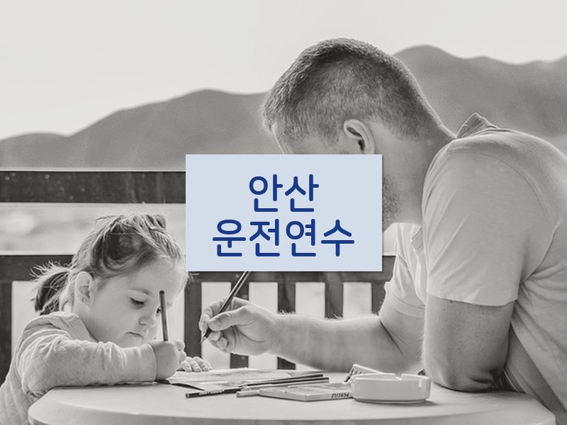 안산운전연수 후기