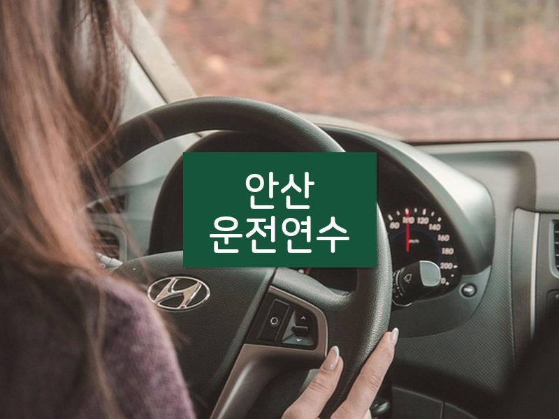 안산운전연수 후기