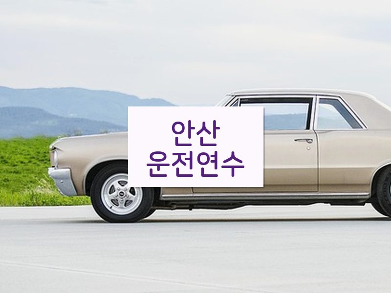 안산운전연수 후기
