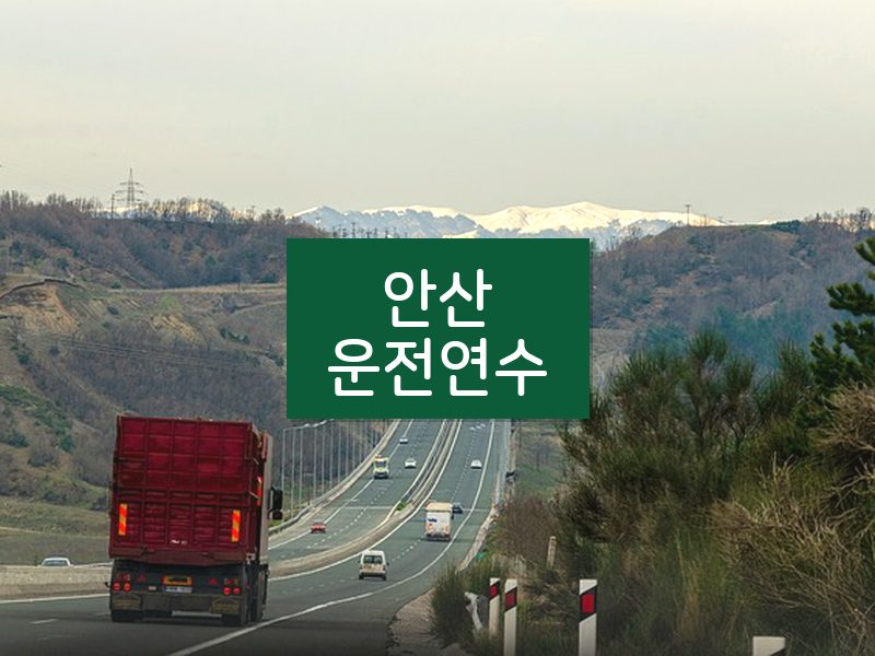 안산운전연수 후기