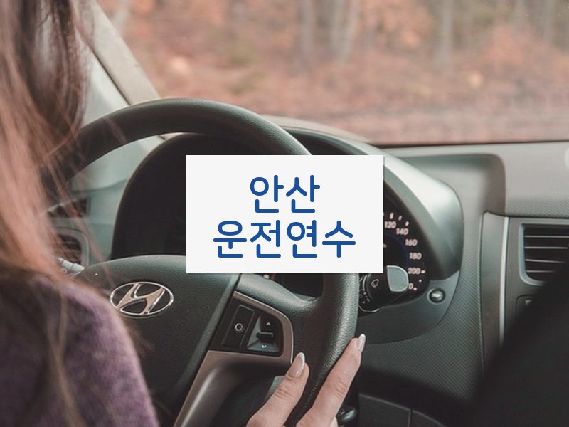 안산운전연수 후기