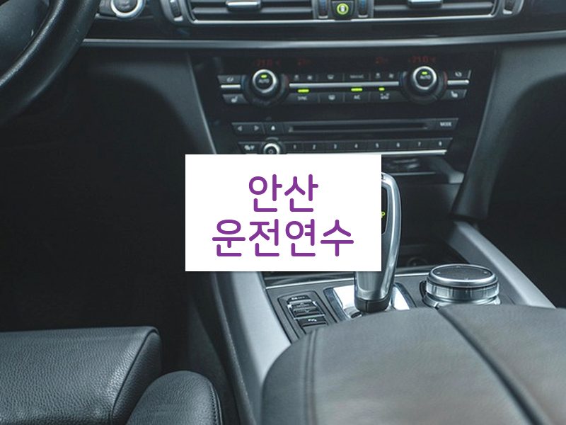 안산운전연수 후기