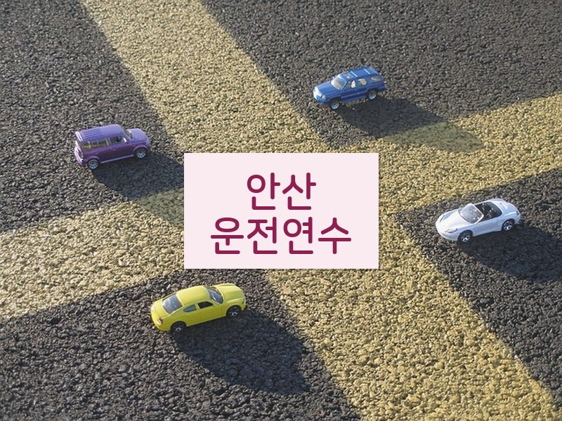 안산운전연수 후기