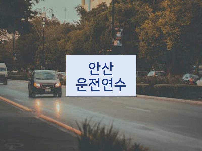 안산운전연수 후기