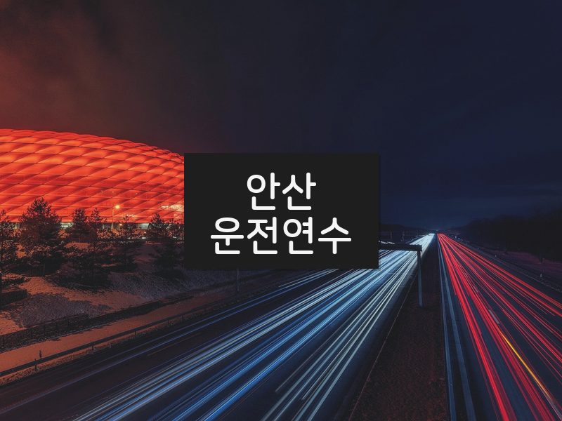 안산운전연수 후기