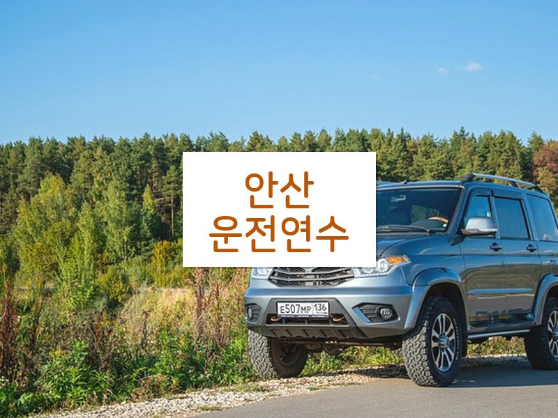 안산운전연수 후기