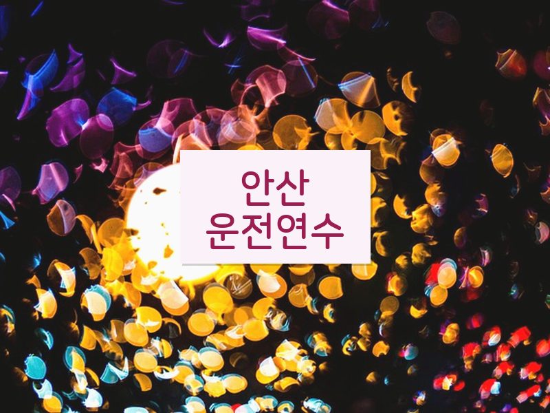 안산운전연수 후기