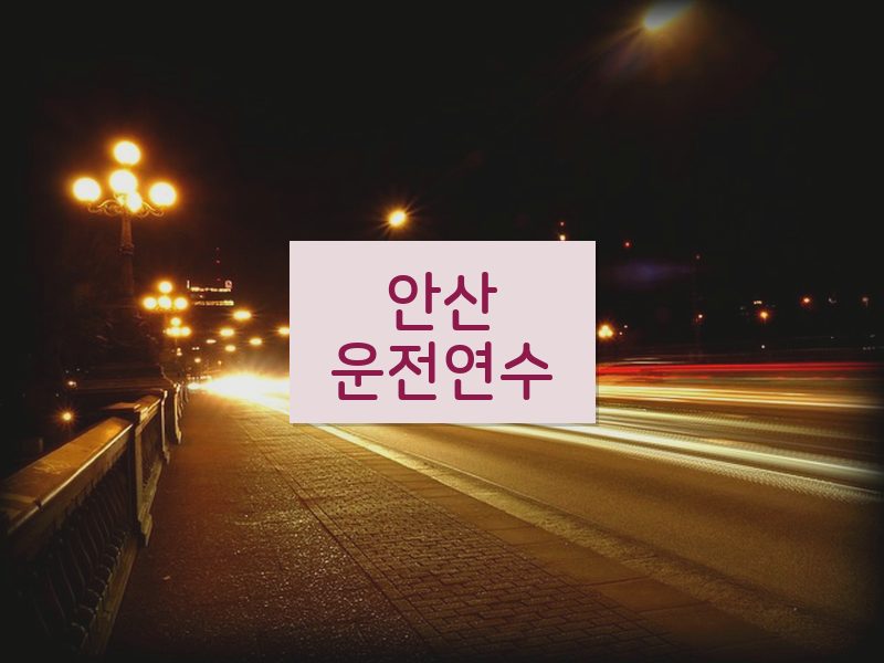안산운전연수 후기