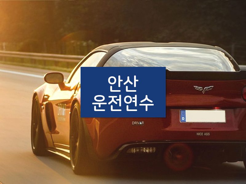 안산운전연수 후기