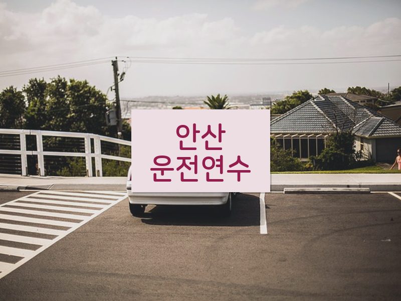 안산운전연수 후기