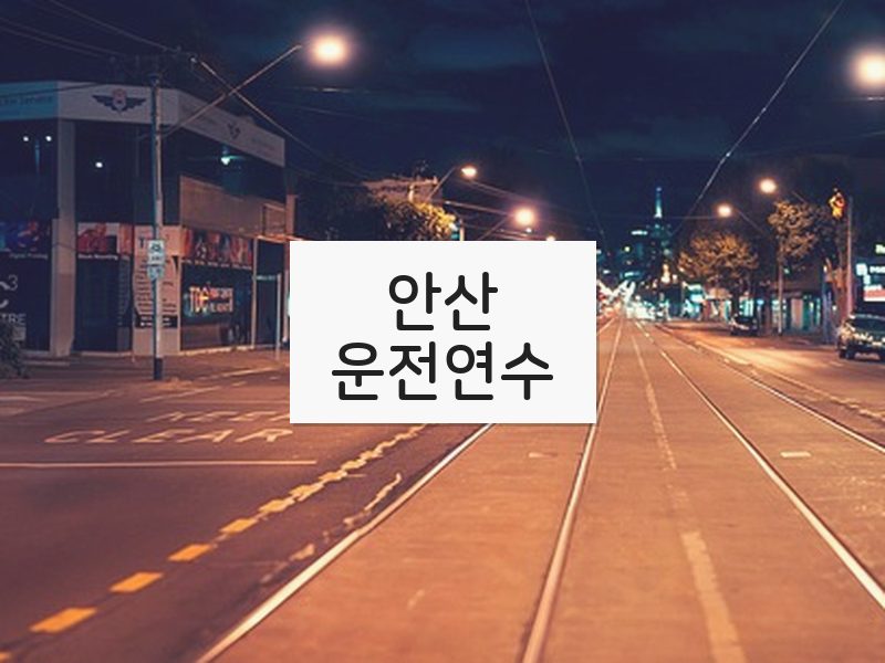안산운전연수 후기