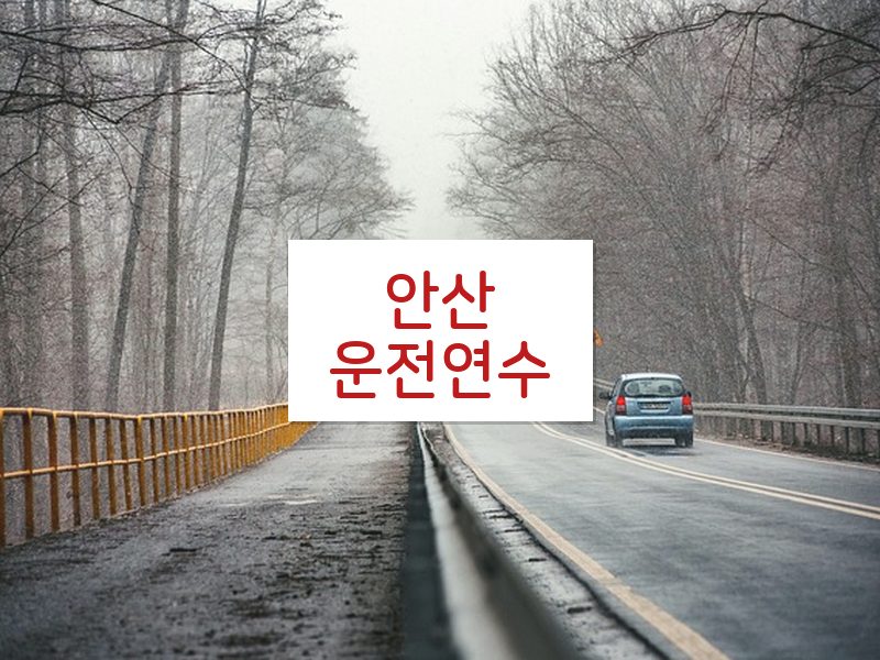 안산운전연수 후기