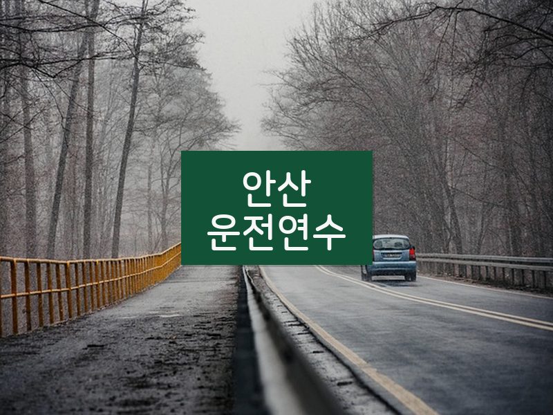 안산운전연수 후기